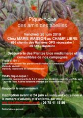 invitation_pique_nique_2019_amis_des_abeilles-page-001__1_.jpg, juin 2019