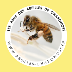 Les amis des abeilles de Chaponost